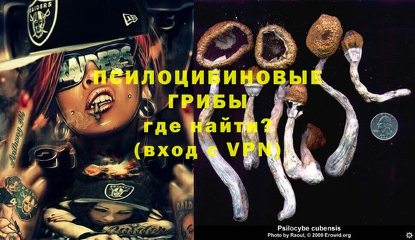 соль курить ск Алексин