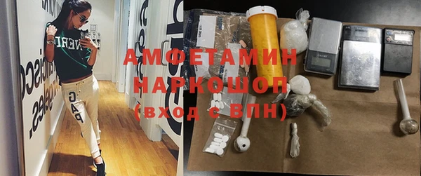 индика Сатка