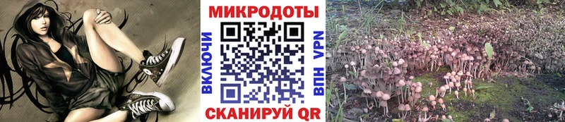 продажа наркотиков  Опочка  Псилоцибиновые грибы Magic Shrooms 