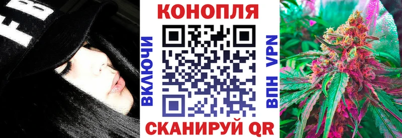 Конопля Bruce Banner  Опочка 